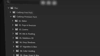 450+ Premiere Pro Presets